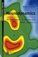 Neurodynamics: An Exploration in Mesoscopic Brain Dynamics