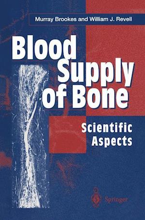 Blood Supply of Bone