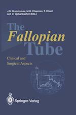 The Fallopian Tube
