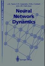 Neural Network Dynamics