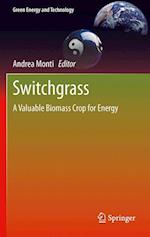 Switchgrass