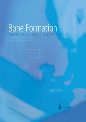 Bone Formation