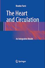 The Heart and Circulation
