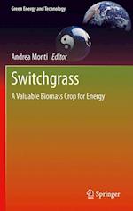 Switchgrass