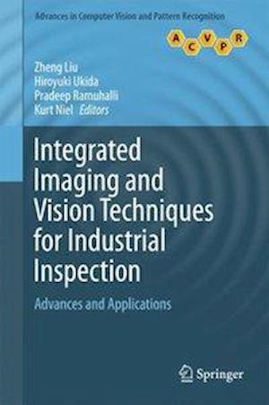 Integrated Imaging and Vision Techniques for Industrial Inspection