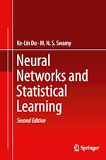 Neural Networks and Statistical Learning