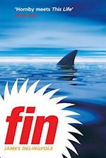 Fin