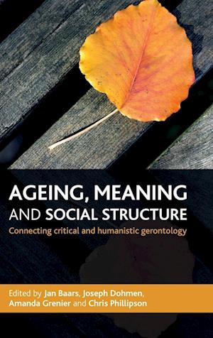 Ageing, Meaning and Social Structure