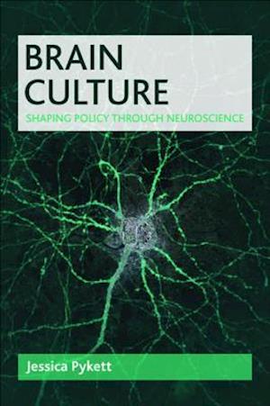 Brain Culture