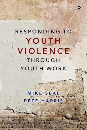 Responding to Youth Violence through Youth Work