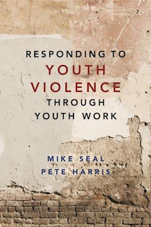 Responding to Youth Violence through Youth Work