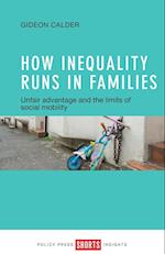 How Inequality Runs in Families