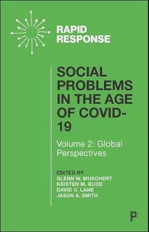 Social Problems in the Age of COVID-19 Vol 2