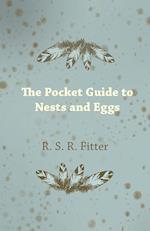 The Pocket Guide to Nests and Eggs