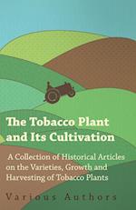 The Tobacco Plant and Its Cultivation - A Collection of Historical Articles on the Varieties, Growth and Harvesting of Tobacco Plants