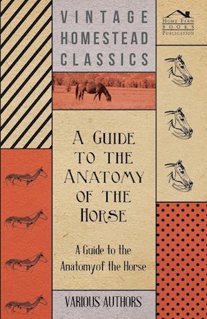 A   Guide to the Anatomy of the Horse - A Collection of Historical Articles on the Skeleton, Hoof, Teeth, Locomotion and Other Aspects of Equine Anato