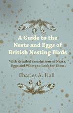 GT THE NESTS & EGGS OF BRITISH