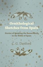 Ornithological Sketches from Spain - Stories of Spotting the Rarest Birds in the Wilds of Spain