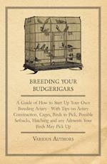 Various: Breeding Your Budgerigars - A Guide of How to Start
