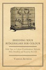 Breeding your Budgerigars for Colour - With Tips on Colour Combinations, Hybrids, Mule Breeding and Keeping Records