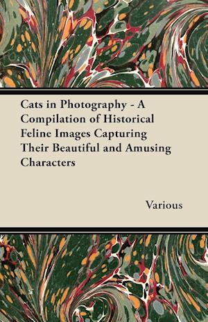 Cats in Photography - A Compilation of Historical Feline Images Capturing Their Beautiful and Amusing Characters