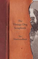 The Vintage Dog Scrapbook - The Newfoundland