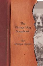 The Vintage Dog Scrapbook - The Springer Spaniel