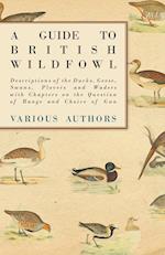 A Guide to British Wildfowl - Descriptions of the Ducks, Geese, Swans, Plovers and Waders with Chapters on the Question of Range and Choice of Gun