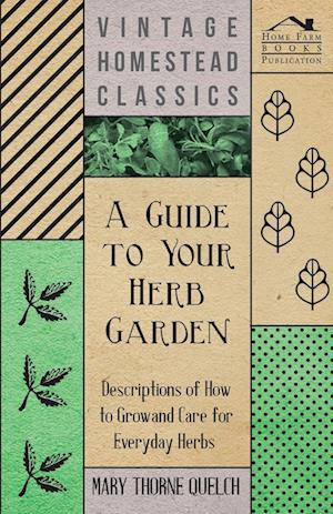 A Guide to Your Herb Garden - Descriptions of How to Grow and Care for Everyday Herbs