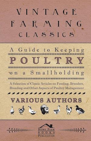 A   Guide to Keeping Poultry on a Smallholding - A Selection of Classic Articles on Feeding, Brooders, Breeding and Other Aspects of Poultry Managemen