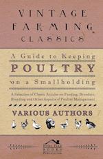 A   Guide to Keeping Poultry on a Smallholding - A Selection of Classic Articles on Feeding, Brooders, Breeding and Other Aspects of Poultry Managemen