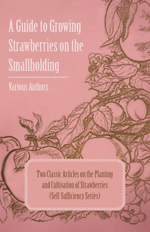 A Guide to Growing Strawberries on the Smallholding - Two Classic Articles on the Planting and Cultivation of Strawberries (Self-Sufficiency Series)