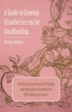 A Guide to Growing Strawberries on the Smallholding - Two Classic Articles on the Planting and Cultivation of Strawberries (Self-Sufficiency Series)