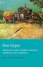 Don Gypsy - Adventures with a Fiddle in Barbary, Andalusia and La Mancha