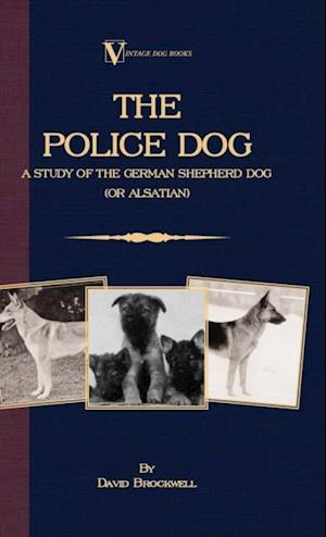 Police Dog: A Study Of The German Shepherd (Or Alsatian)