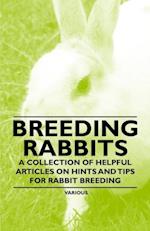 Breeding Rabbits - A Collection of Helpful Articles on Hints and Tips for Rabbit Breeding