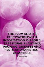 Plum and Its Cultivation with Information on Soils, Tree Forms, Planting, Pruning, Diseases and Pests, and Varieties - An Article