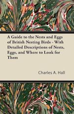 Guide to the Nests and Eggs of British Nesting Birds - With Detailed Descriptions of Nests, Eggs, and Where to Look for Them