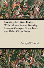 Growing the Citrus Fruits - With Information on Growing Lemons, Oranges, Grape Fruits and Other Citrus Fruits