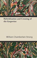 Hybridization and Crossing of the Grapevine