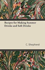 Recipes for Making Summer Drinks and Soft Drinks