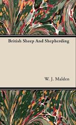British Sheep And Shepherding