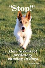 'Stop!': How to Control Predatory Chasing in Dogs