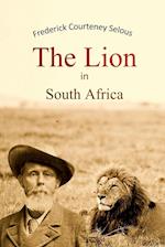 The Lion in South Africa 