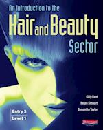 Introduction to the Hair and Beauty Sector Library eBook