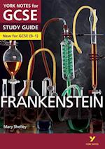 Frankenstein: York Notes for GCSE - everything you need to study and prepare for the 2025 and 2026 exams