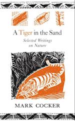 Tiger in the Sand