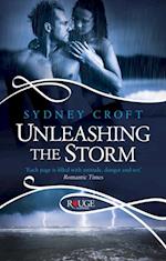 Unleashing the Storm, A Rouge Paranormal Romance