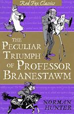 Peculiar Triumph Of Professor Branestawm