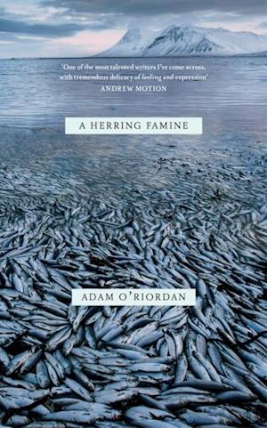 Herring Famine